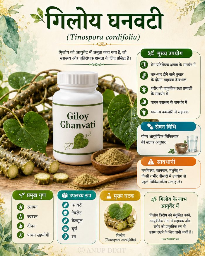 Ayurvedic handbook sample page — Giloy Ghanvati in Hindi